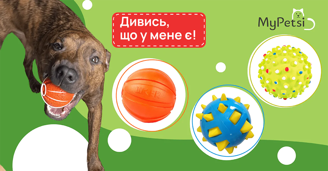 Інтерактивні головоломки та гри
